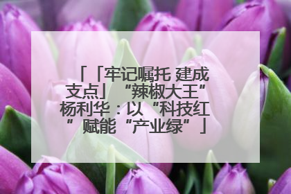 「牢记嘱托 建成支点」“辣椒大王”杨利华：以“科技红”赋能“产业绿”