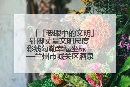 「我眼中的文明」针脚丈量文明尺度 彩线勾勒幸福坐标——兰州市城关区酒泉路街道办事处
