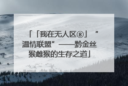 「我在无人区⑧」“温情联盟”——黔金丝猴雌猴的生存之道