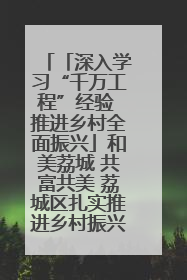 「深入学习“千万工程”经验 推进乡村全面振兴」和美荔城 共富共美 荔城区扎实推进乡村振兴工作