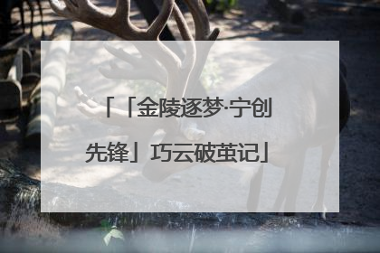 「金陵逐梦·宁创先锋」巧云破茧记