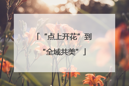 “点上开花”到“全域共美”