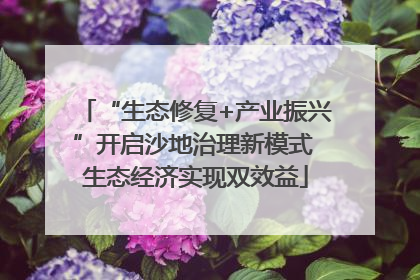 “生态修复+产业振兴”开启沙地治理新模式 生态经济实现双效益