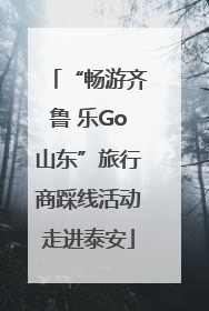 “畅游齐鲁 乐Go山东”旅行商踩线活动走进泰安