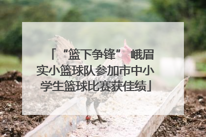 “篮下争锋” 峨眉实小篮球队参加市中小学生篮球比赛获佳绩