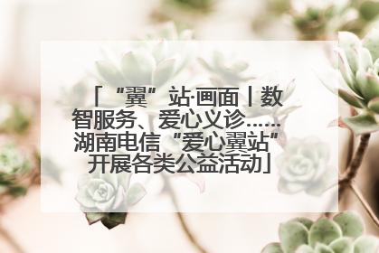 “翼”站·画面丨数智服务、爱心义诊……湖南电信“爱心翼站” 开展各类公益活动