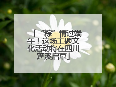 “粽”情过端午！这场主题文化活动将在四川蓬溪启幕