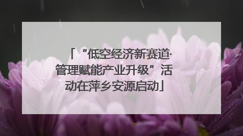 “低空经济新赛道·管理赋能产业升级”活动在萍乡安源启动