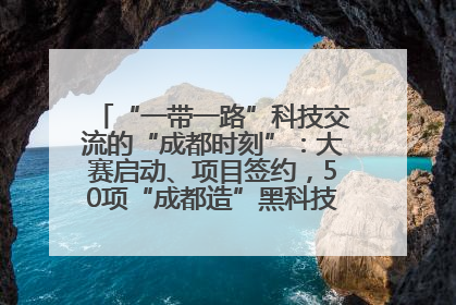 “一带一路”科技交流的“成都时刻”：大赛启动、项目签约，50项“成都造”黑科技吸引多国客商