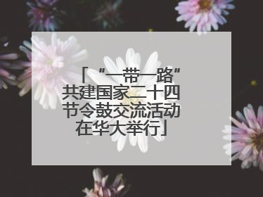 “一带一路”共建国家二十四节令鼓交流活动在华大举行