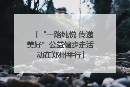 “一路纯悦 传递美好”公益健步走活动在郑州举行