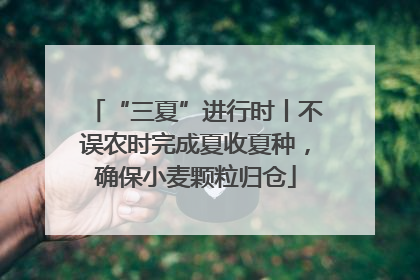 “三夏”进行时丨不误农时完成夏收夏种，确保小麦颗粒归仓