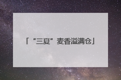 “三夏”麦香溢满仓
