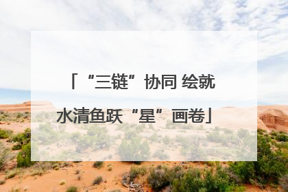 “三链”协同 绘就水清鱼跃“星”画卷