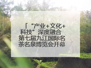 “产业+文化+科技”深度融合 第七届九江国际名茶名泉博览会开幕（组图）