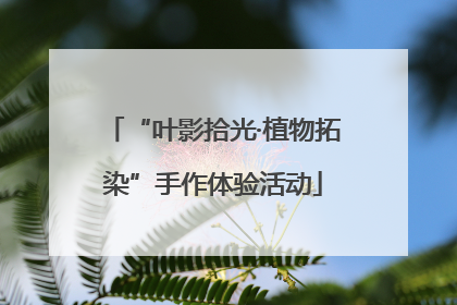“叶影拾光·植物拓染”手作体验活动