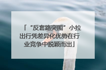 “反套路突围”小拉出行凭差异化优势在行业竞争中脱颖而出