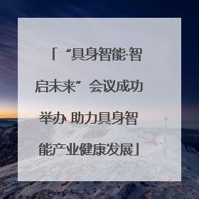 “具身智能·智启未来”会议成功举办 助力具身智能产业健康发展