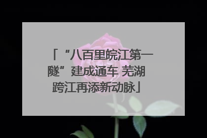 “八百里皖江第一隧”建成通车 芜湖跨江再添新动脉