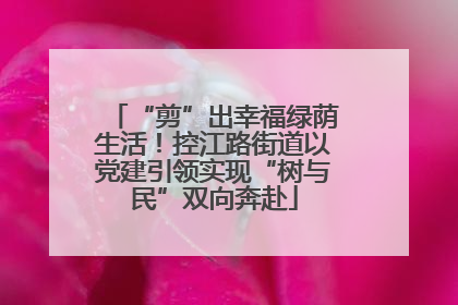 “剪”出幸福绿荫生活！控江路街道以党建引领实现“树与民”双向奔赴