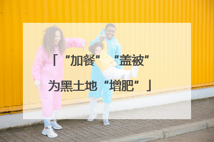 “加餐”“盖被” 为黑土地“增肥”