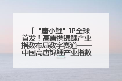 “唐小鲤”IP全球首发！高唐携锦鲤产业指数布局数字赛道——中国高唐锦鲤产业指数暨“唐小鲤”IP全球首发仪式在杭州举行