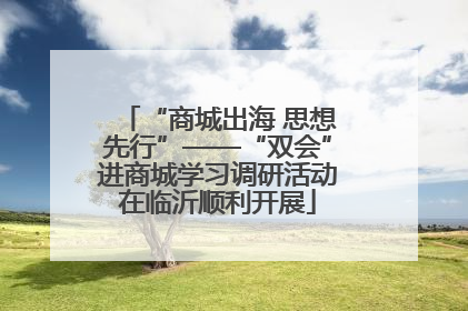 “商城出海 思想先行”——“双会”进商城学习调研活动在临沂顺利开展