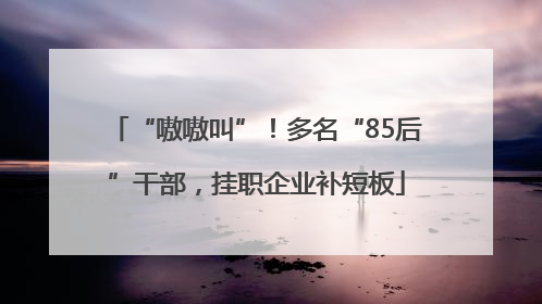 “嗷嗷叫”！多名“85后”干部，挂职企业补短板