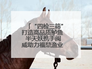 “四检三筛”打造高品质鲈鱼 半天妖携手闽威助力福鼎渔业实现产业升级
