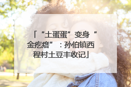 “土蛋蛋”变身“金疙瘩”：孙伯镇西程村土豆丰收记