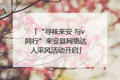 “寻味来安 与v同行”来安县网络达人采风活动开启