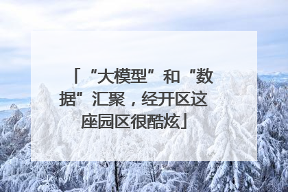 “大模型”和“数据”汇聚，经开区这座园区很酷炫