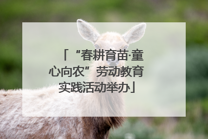 “春耕育苗·童心向农”劳动教育实践活动举办