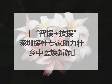 “智援+技援” 深圳援桂专家助力壮乡中医焕新颜