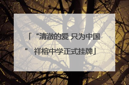 “清澈的爱 只为中国” 祥榕中学正式挂牌