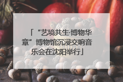 “艺境共生·博物华章”博物馆沉浸交响音乐会在沈阳举行