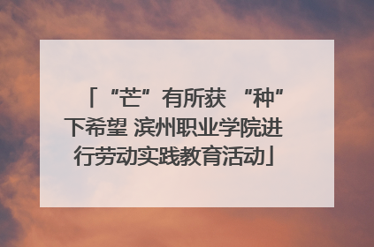 “芒”有所获 “种”下希望 滨州职业学院进行劳动实践教育活动