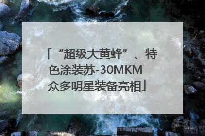 “超级大黄蜂”、特色涂装苏-30MKM 众多明星装备亮相