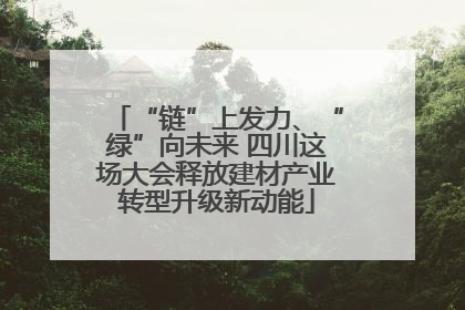 “链”上发力、“绿”向未来 四川这场大会释放建材产业转型升级新动能