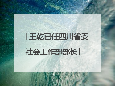 王乾已任四川省委社会工作部部长