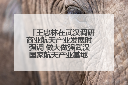王忠林在武汉调研商业航天产业发展时强调 做大做强武汉国家航天产业基地 打造具有全国影响力的“中国星谷”
