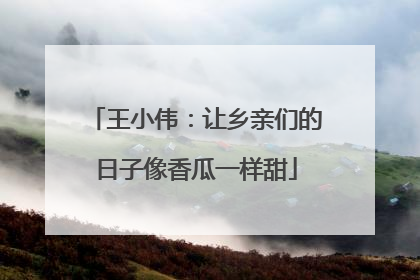 王小伟：让乡亲们的日子像香瓜一样甜