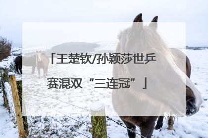 王楚钦/孙颖莎世乒赛混双“三连冠”