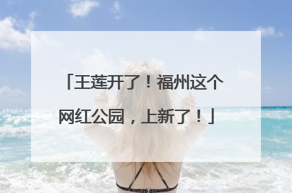 王莲开了！福州这个网红公园，上新了！