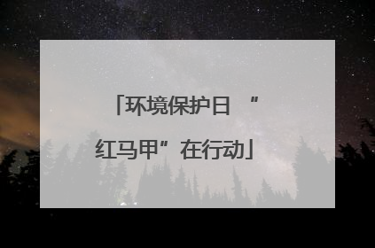 环境保护日 “红马甲”在行动