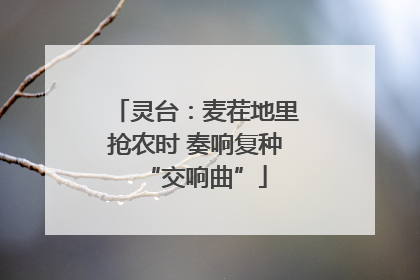 灵台：麦茬地里抢农时 奏响复种“交响曲”