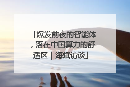 爆发前夜的智能体，落在中国算力的舒适区｜海斌访谈