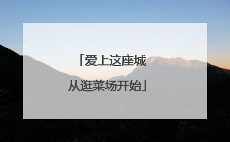 爱上这座城 从逛菜场开始