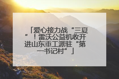 爱心接力战“三夏”！雷沃公益机收开进山东重工派驻“第一书记村”