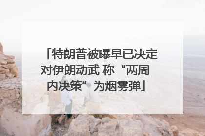 特朗普被曝早已决定对伊朗动武 称“两周内决策”为烟雾弹